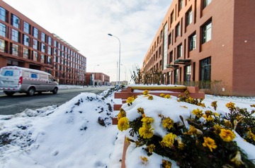 _RIC8057