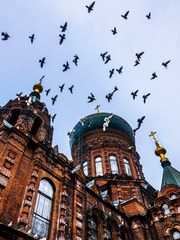 _RIC0035