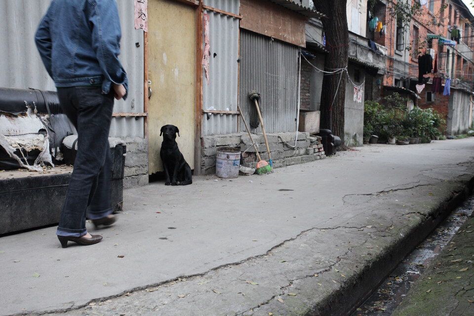 曹家巷,城市中的堡垒<br />