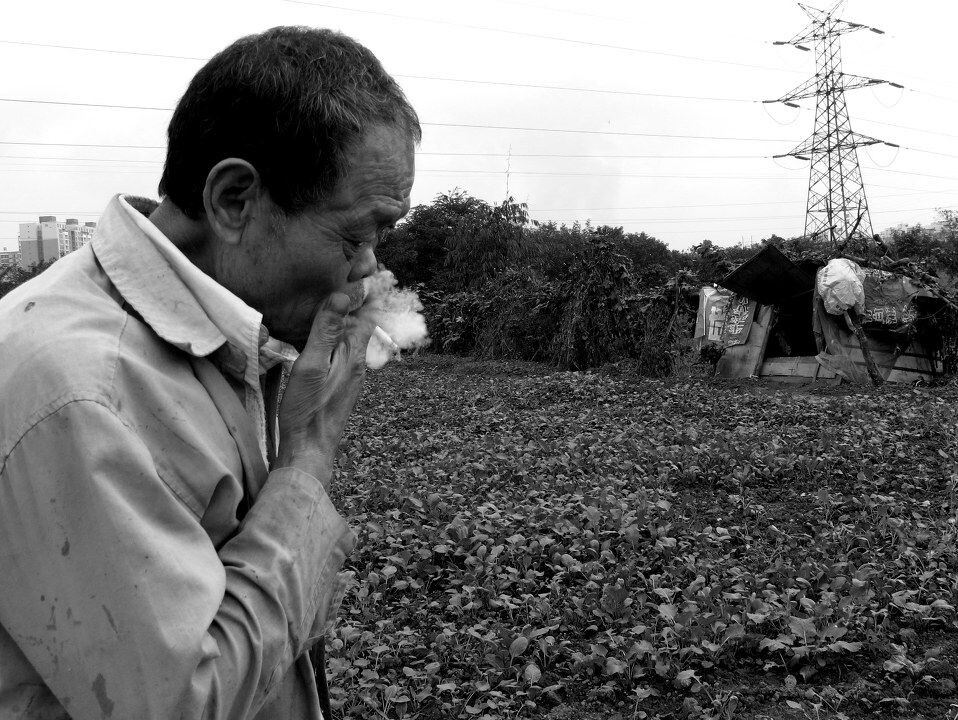 "安置"居民<br />
不知道这地还能"捡来"种几年