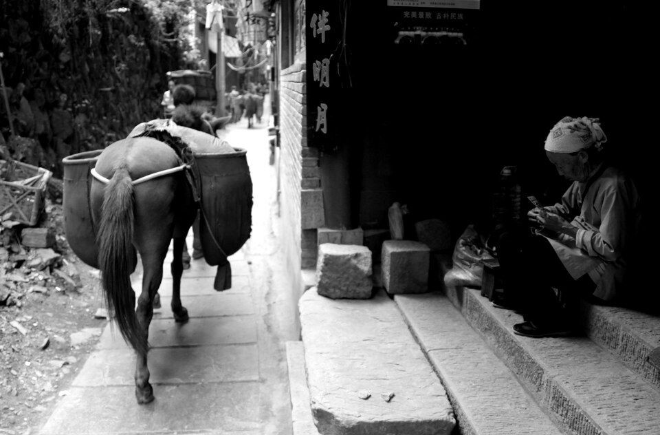 闯江湖[4]<br />

