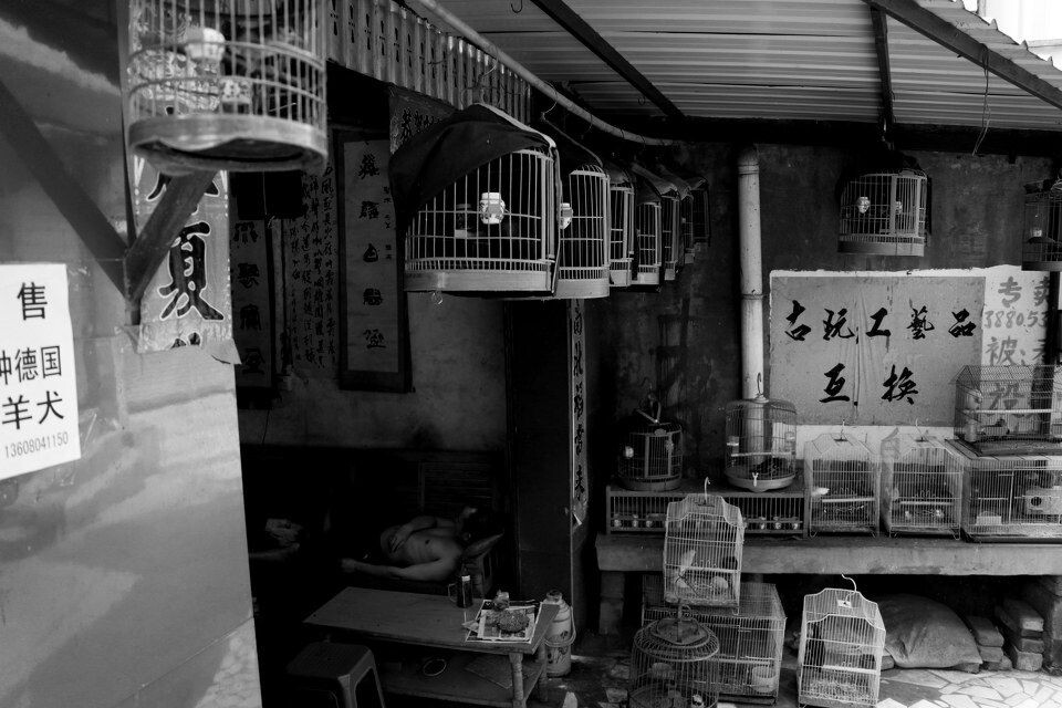 幸福不是一种模式<br />
