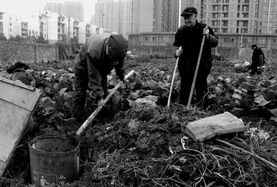闲，悠闲的闲<br />

