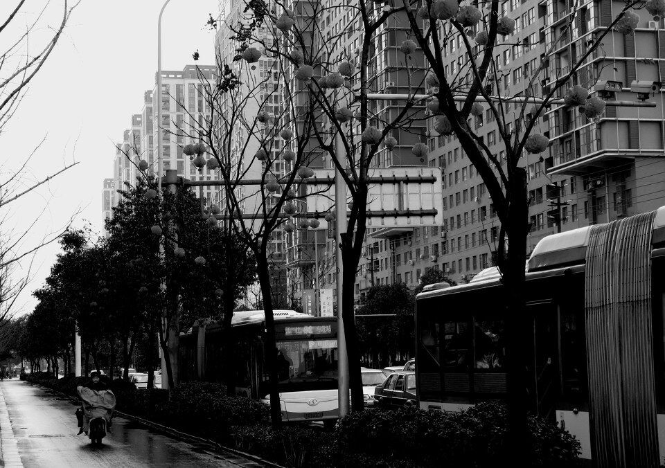 空气中总算还飘一丝丝年味<br />
红灯笼在风雨中孤独的摇摆着。