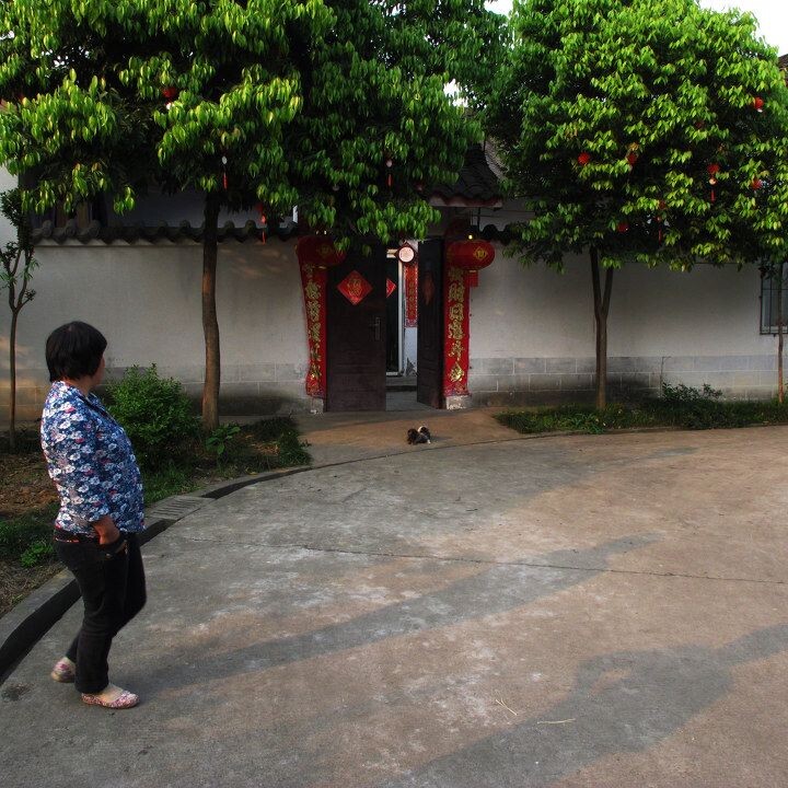 社会主义新农村----集中居住区见闻<br />
房前树木成荫.