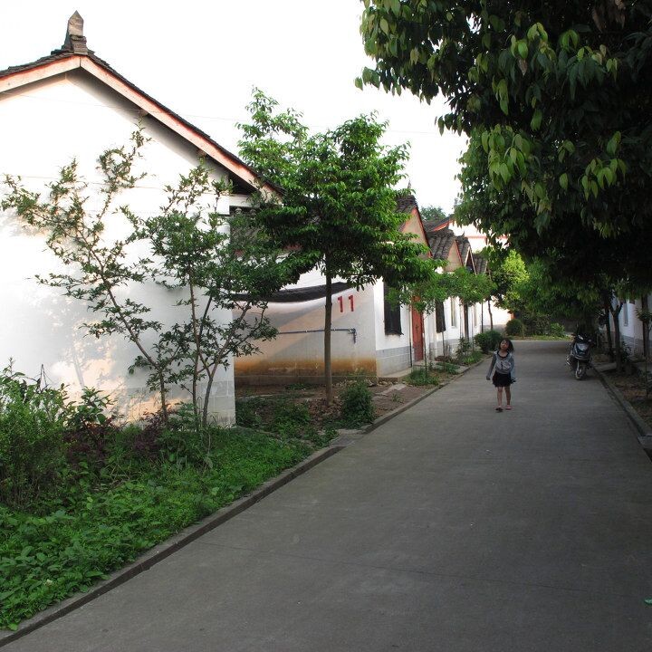 社会主义新农村----集中居住区见闻<br />
水泥路面.