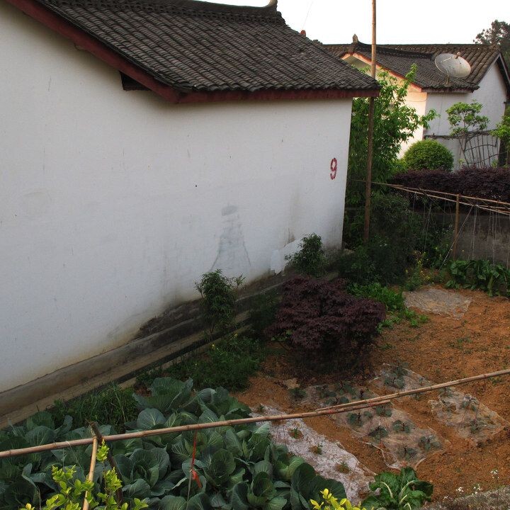 社会主义新农村----集中居住区见闻<br />
仍然改变不了种地的习惯.