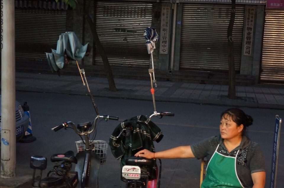 "苍蝇"馆子<br />
