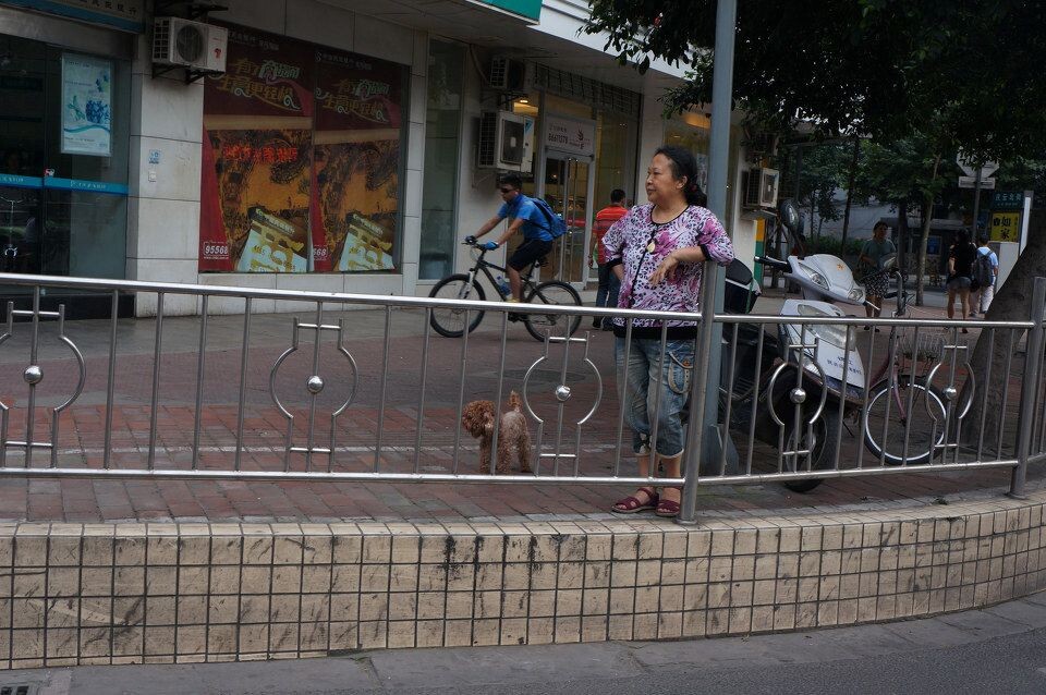 成都,大街小巷"瞅欺头"(9)<br />