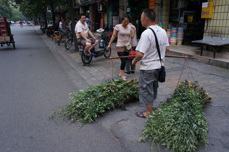 成都,大街小巷"瞅欺头"(9)<br />