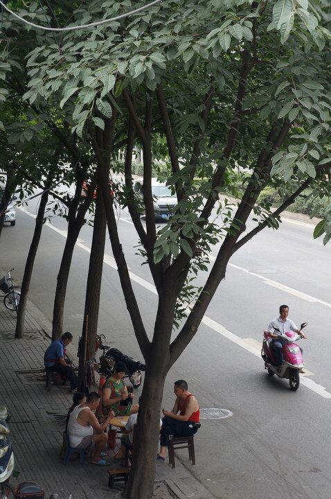 成都,大街小巷"瞅欺头"(10)<br />
