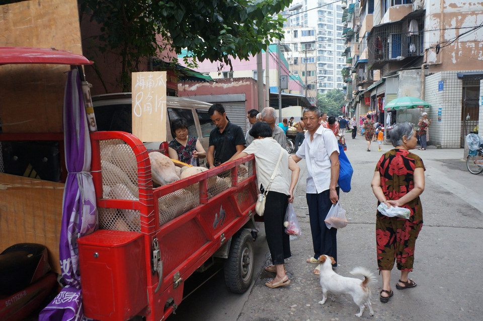 城里人的生活29