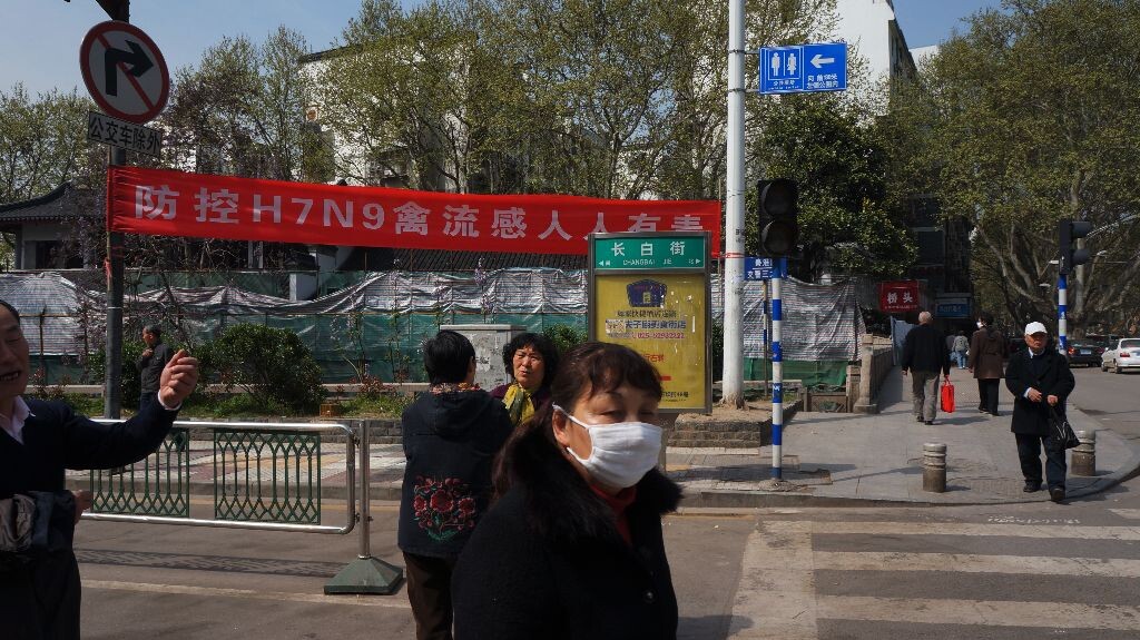 H7N9,南京,口罩客<br />