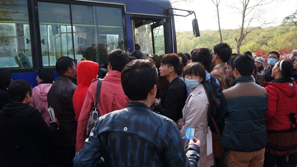 H7N9,南京,口罩客<br />