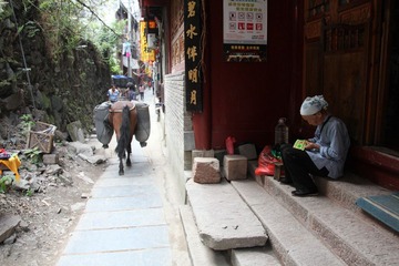IMG_7551.JPG
