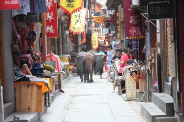 IMG_7558.JPG