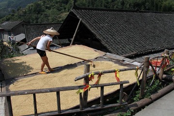 IMG_7851.JPG
