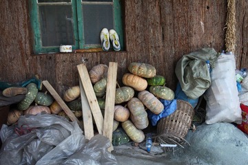 IMG_7762.JPG