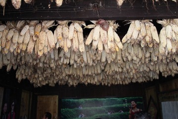 IMG_7770.JPG