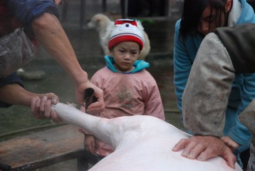 DSC_7945.JPG