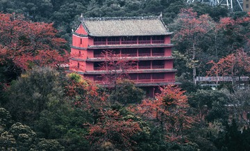 DSC01593ag2