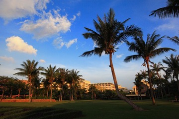 IMG_6671resized.JPG