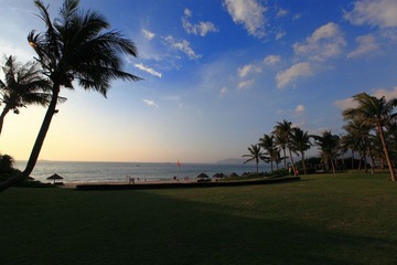 IMG_6679resize.JPG