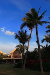 IMG_6684resize.JPG