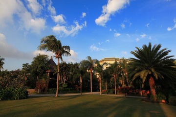 IMG_6687resized.JPG