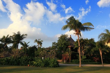 IMG_6688resize.JPG