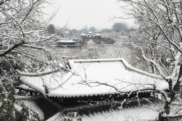 瘦西湖的春雪