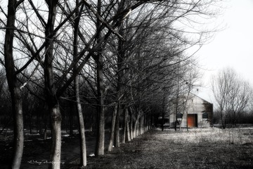 House