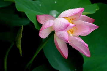 PICT0428
