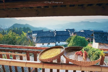 DSC01878+印++++