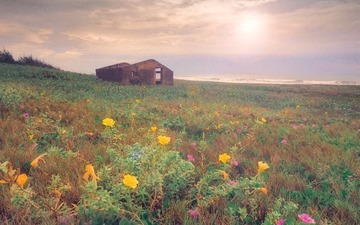 面朝大海，春暖花开。