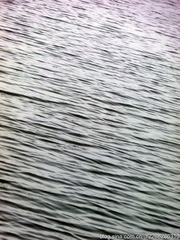 87334d66nad0d62d0d6da&690.jpg