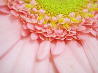 IMG_0881.jpg