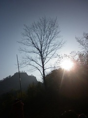 P1000875.JPG