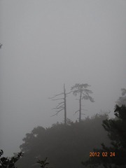 DSC00259.JPG