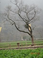 DSC00284.JPG