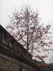 DSC00616.JPG