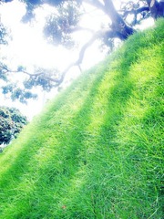 DSC03433_副本.jpg