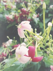 20110522800_副本。。.jpg