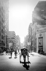 _DSC7036 拷贝