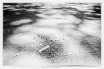 _DSC7907-1 拷贝