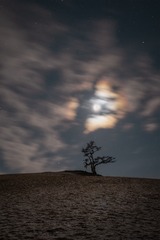 望月，星空夜