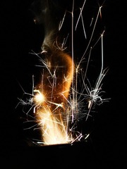 IMG_1044.jpg