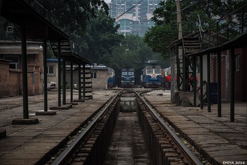 P5110029