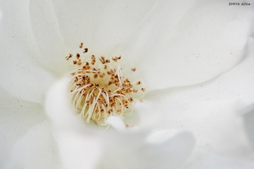 P5110046