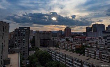 P6110155